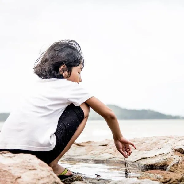 Pandan Beach Homestay, hotell sihtkohas Kampong Pandan