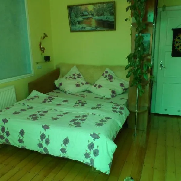 "Ранчо" -басейн,тераса, квіти, сад, ξενοδοχείο σε Uzhhorod