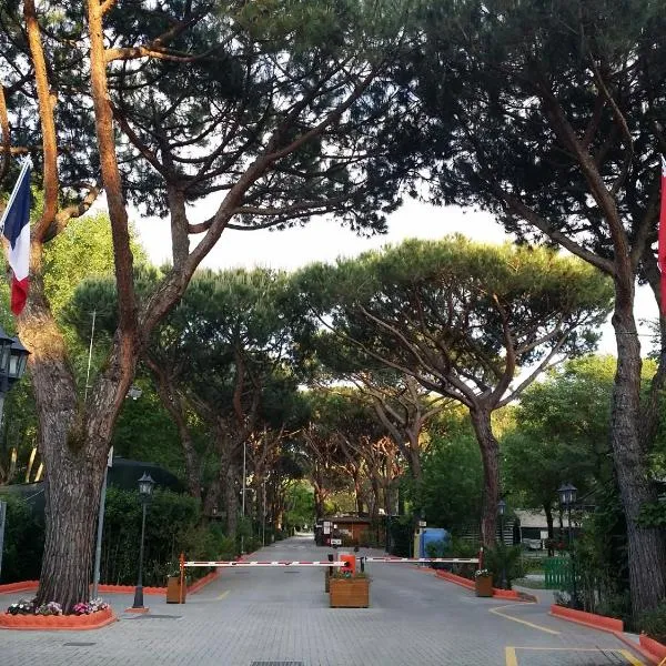 Camping Dal Pino, hotel in Marina di Massa