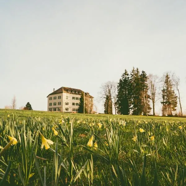 Hôtel de la Chaux-d'Abel，位于La Ferrière的酒店