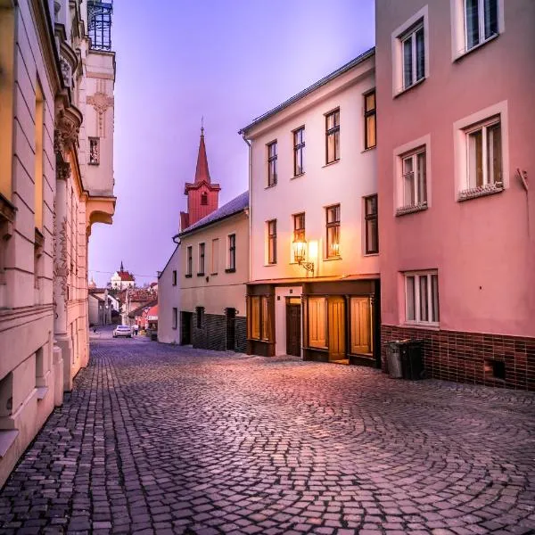 Lucerna - dům s duší Příbor, khách sạn ở Příbor