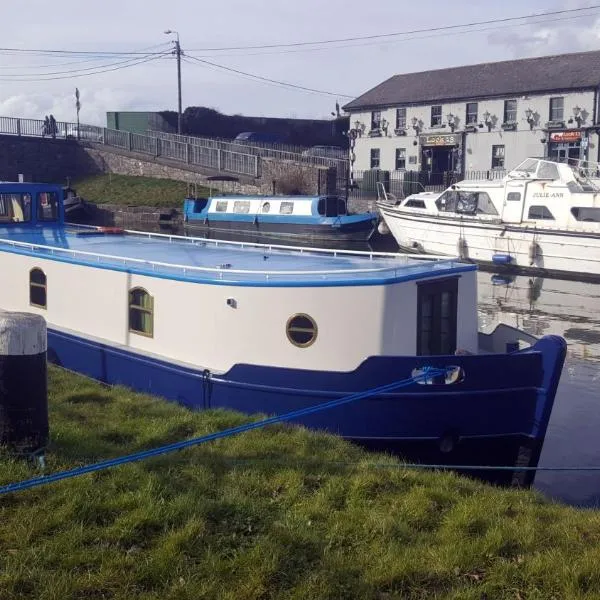 Roisin Dubh Houseboat, hotel v destinaci Sallins