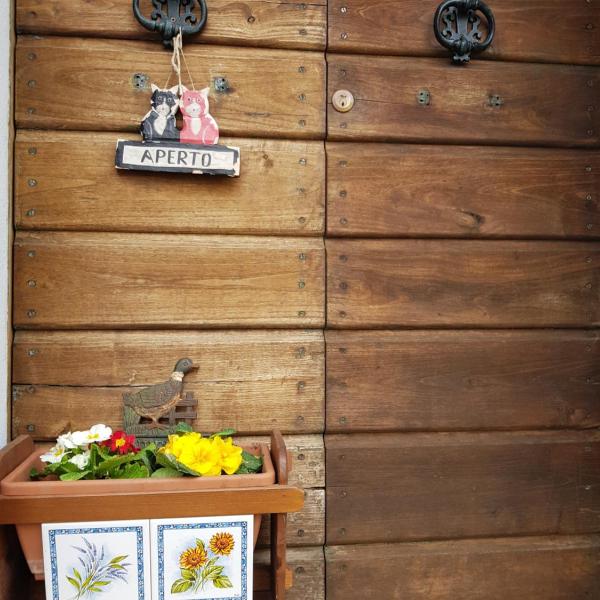 Monte degli Elci b&b