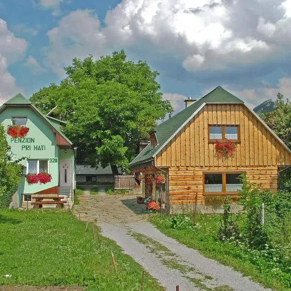 Penzion a drevenica pri Hati, hotel in Terchová
