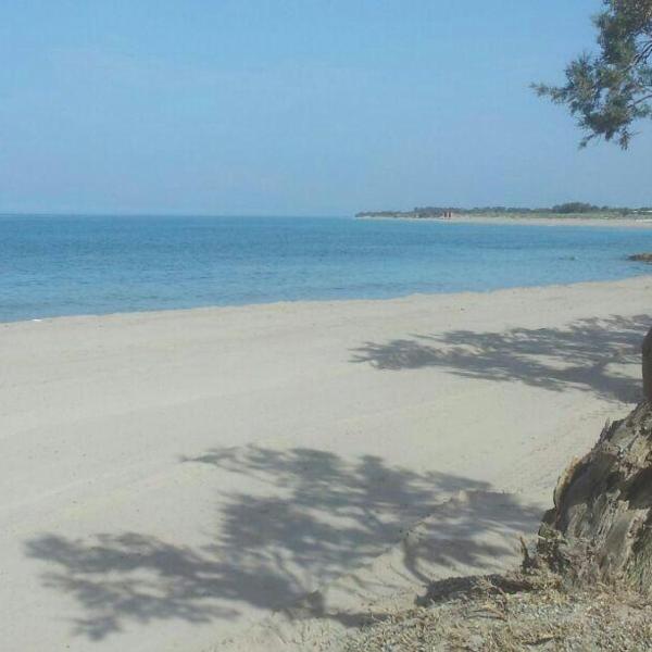 Appartamento Alba vista spiaggia