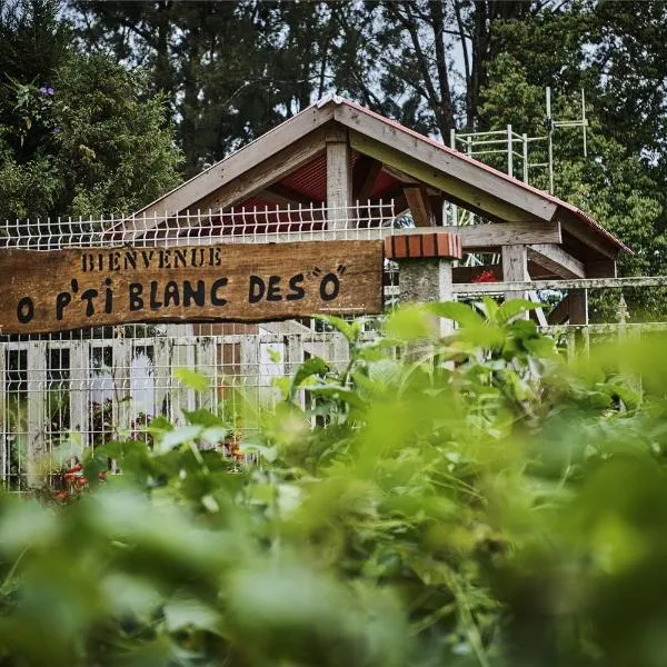 le p'ti blanc des "o", ξενοδοχείο σε Salazie