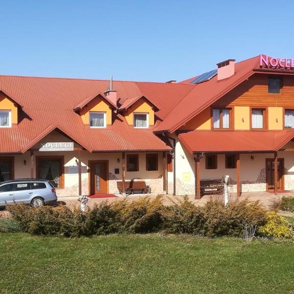 Nocleg Hotel Nad Stawami