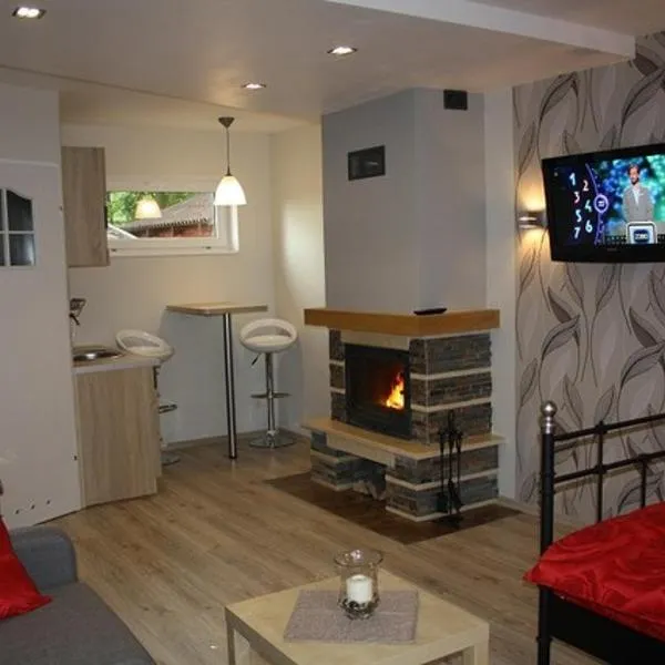 Pokoje, apartament NA WYSPIE, hotel in Gdańsk
