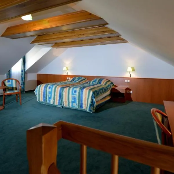 Hotel Dvorak, Hotel in Budweis