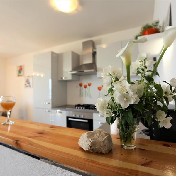 Apartments Ivka