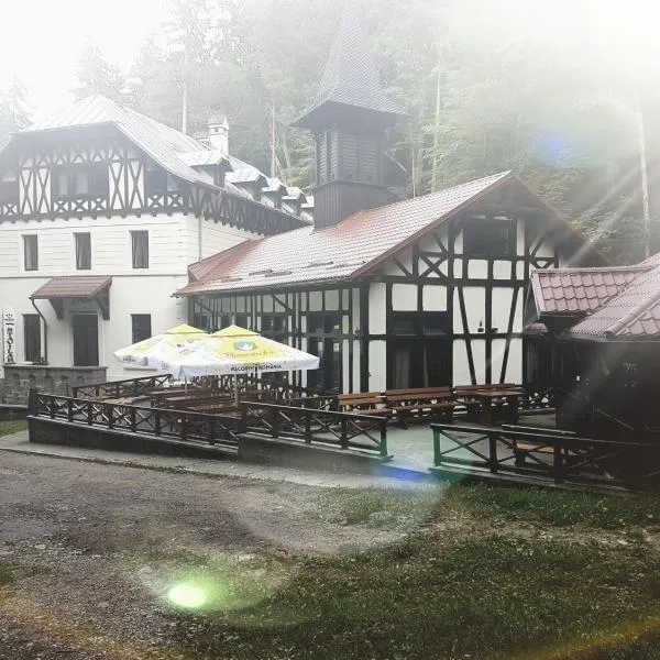 Hotel Stavilar, Hotel in Sinaia