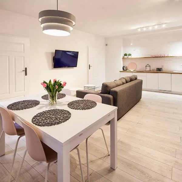 Apartamenty toruńskie pod Krzywą Wieżą, hotel in Toruń