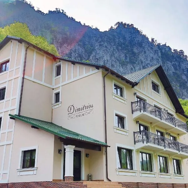 PENSIUNEA DIMITRIOS Relaxare cu jacuzzi pe Valea Cernei, hotel in Băile Herculane