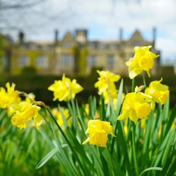 Gisborough Hall Hotel, hotel in Guisborough