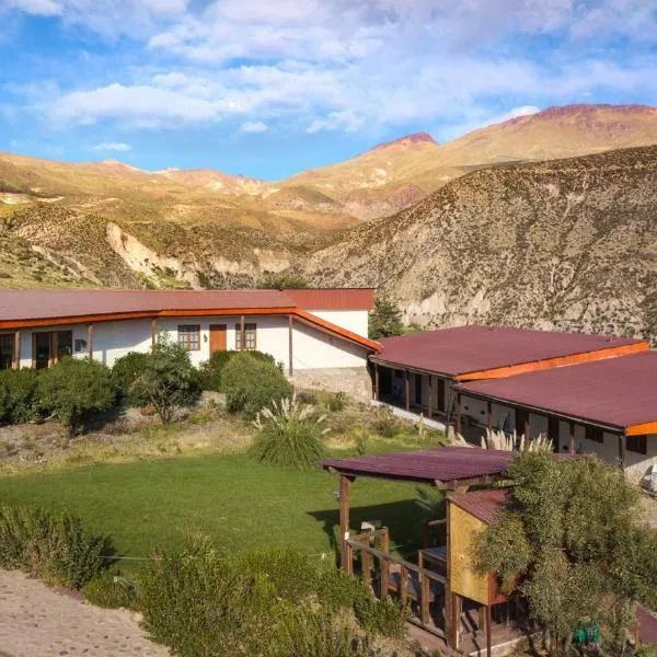 Terrace Lodge, hotel in Putre