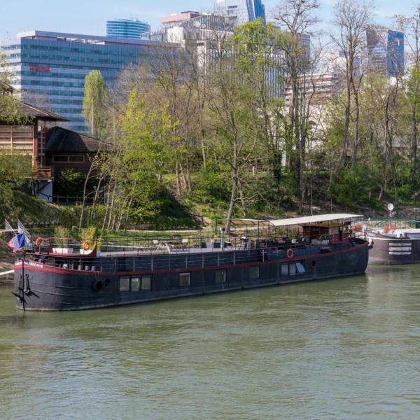 Grande péniche 4 ch - 10 pers -Paris - Ile de Puteaux- terrasses
