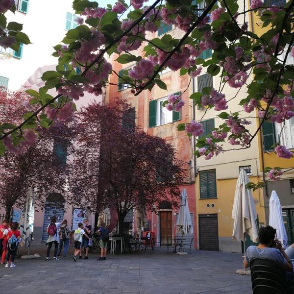 Lavagna Uno, Genova