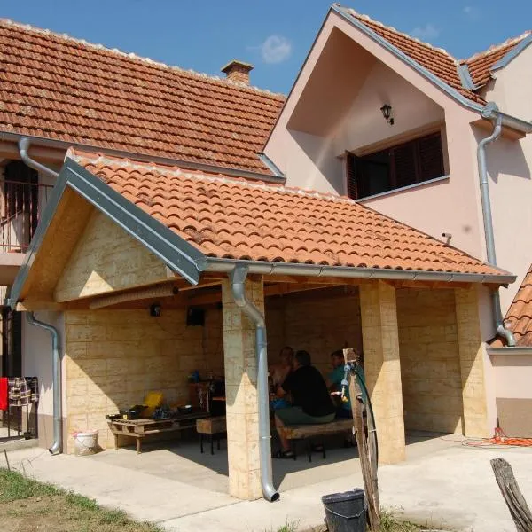 Vila Ljubomir - Srebrno Jezero，位于Kiseljevo的酒店