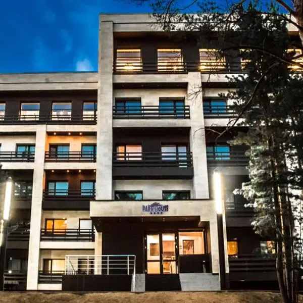 Park House, hotel in Barmashino