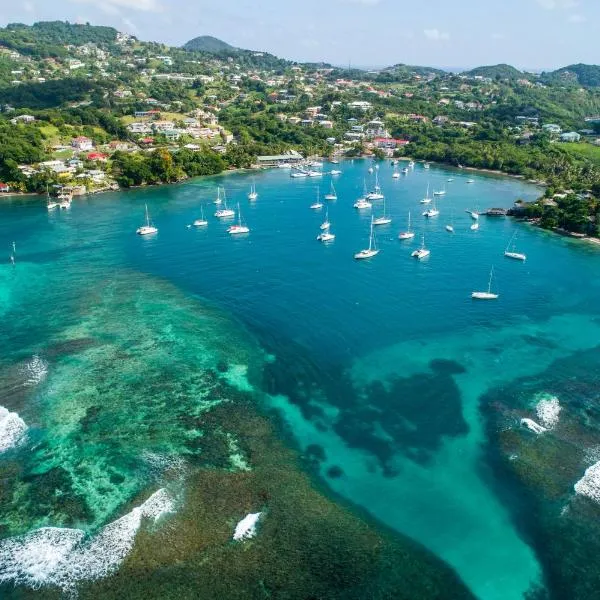 Blue Lagoon Hotel and Marina Ltd, hotel v destinaci Kingstown