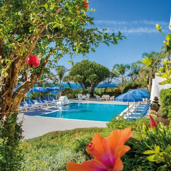 Hotel Capizzo, hotel v Ischii