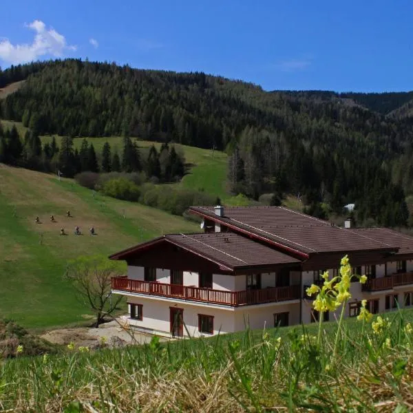 Hotel Studničky, hotel in Vernár