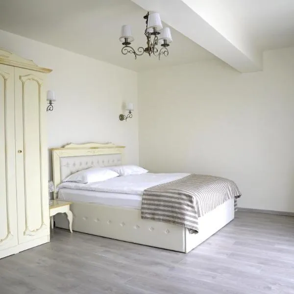 Pensiunea Anastasia fosta Sofia, hôtel à Remetea Mare