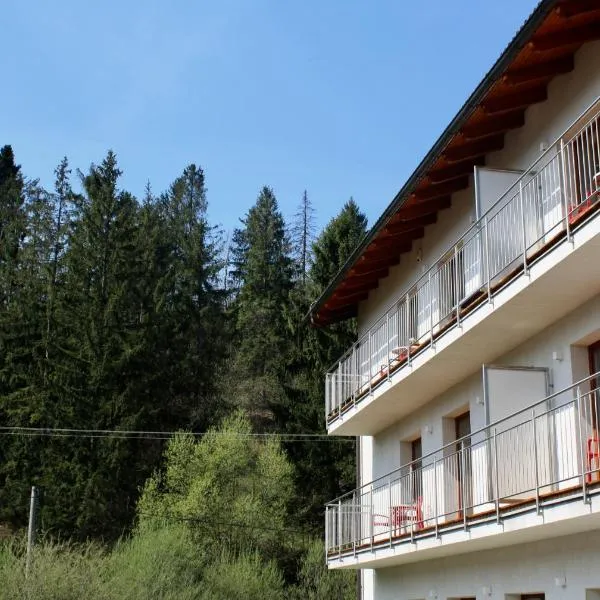 Villa Malina, hotel in Oščadnica
