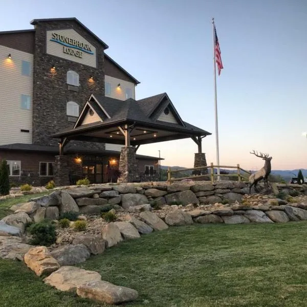Stonebrook Lodge Murphy, hotel in Murphy
