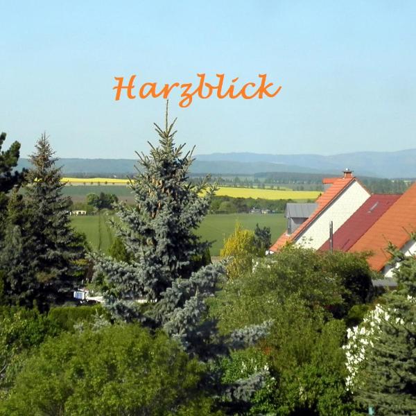 Ferienhaus "Harzblick"