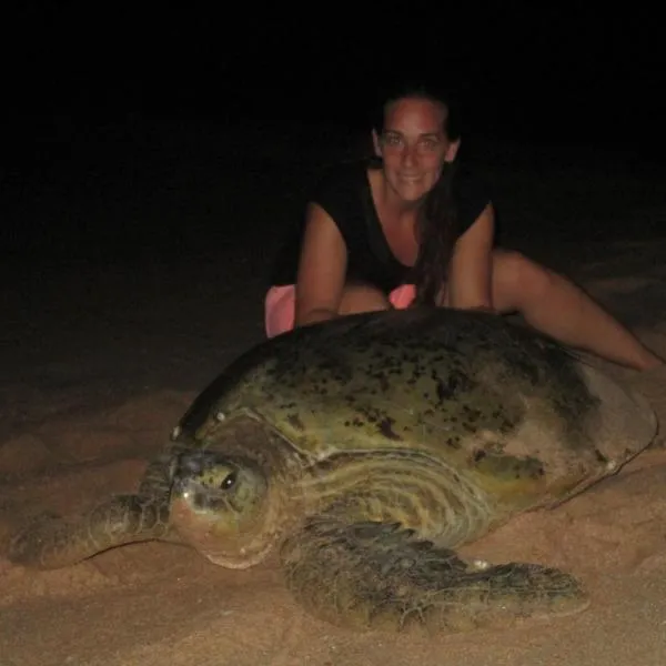 All View Resort, ξενοδοχείο στο Tangalle