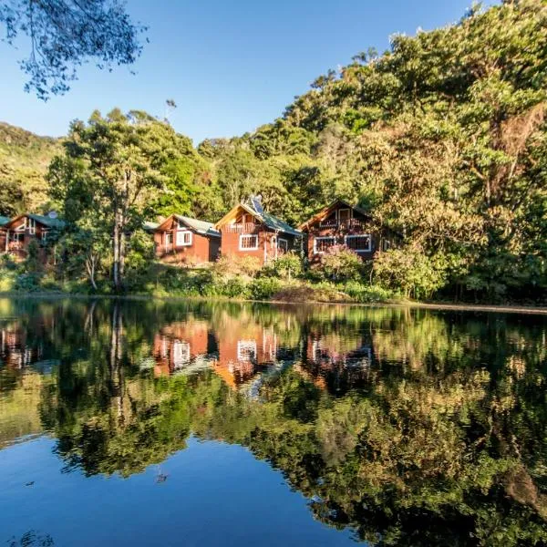 Sueños del Bosque Lodge, hotel in San Gerardo de Dota