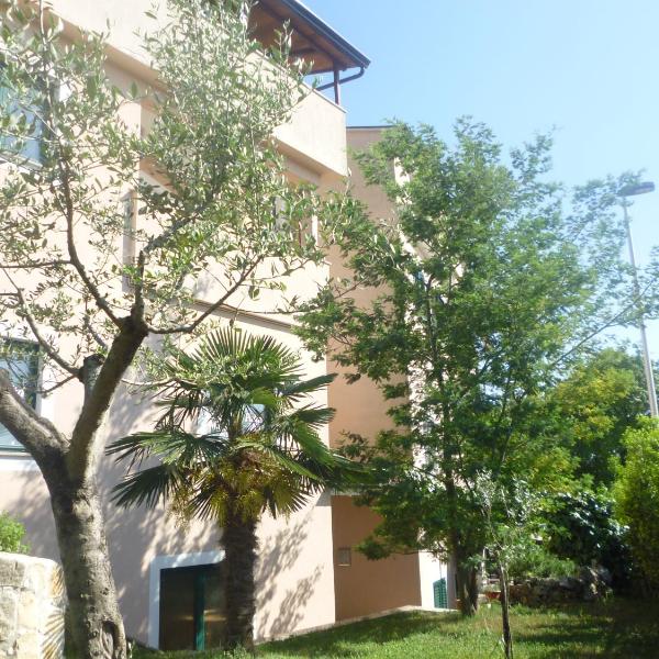Accomodation Suran 2