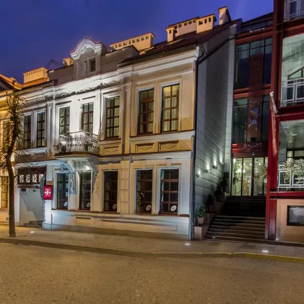 Šaulys, hotel di Šiauliai