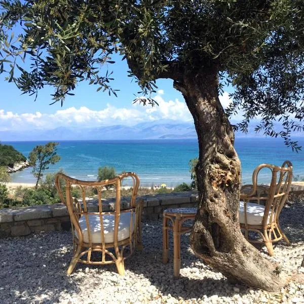 Vista Petros, Hotel in Apraos