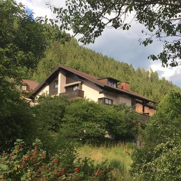 Haus Agnes, Murau, hotel in Murau