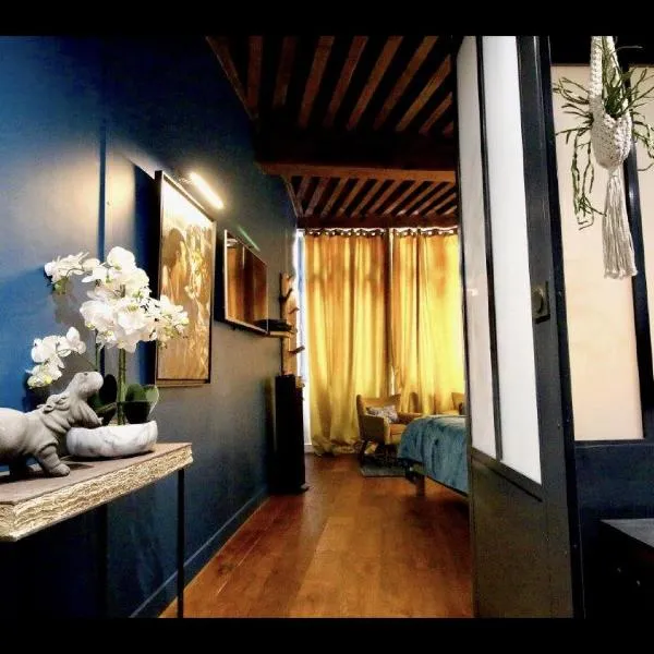 3e secret en plein coeur du Vieux Lyon，位于里昂的酒店