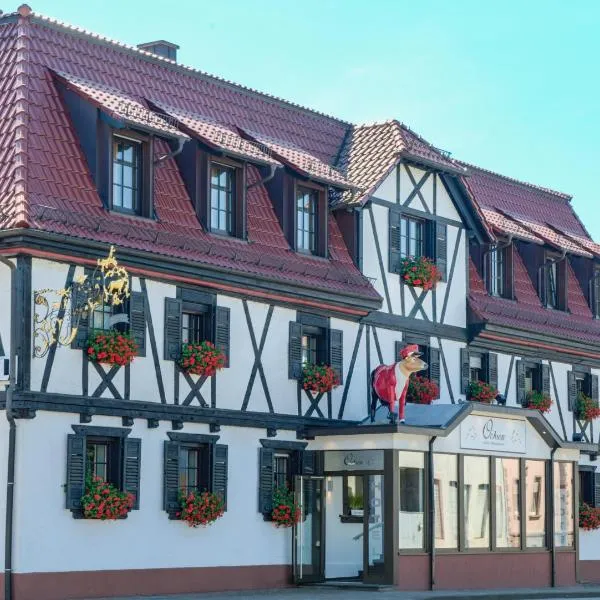 Hotel Ochsen, Hotel in Friesenheim
