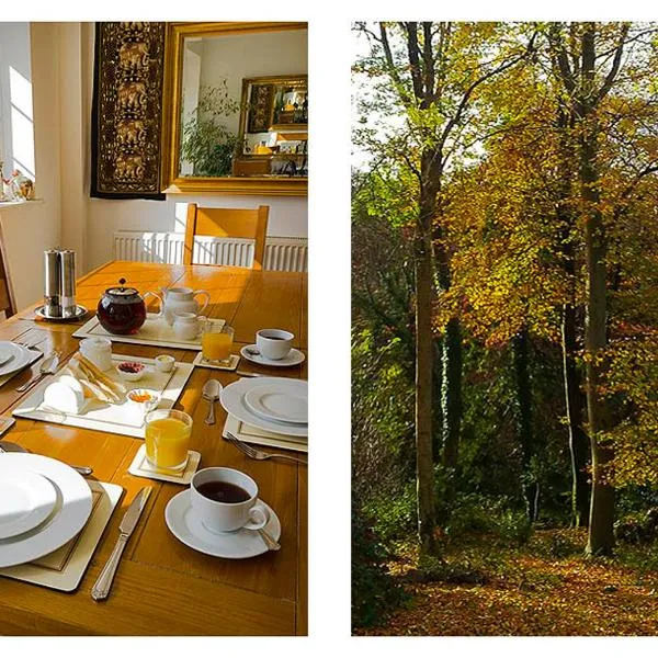 Woodland Views、Milton Abbasのホテル