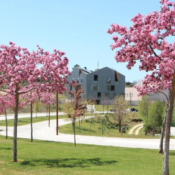 Cró Hotel Rural, отель в городе Rapoula do Côa