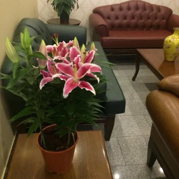 Ünver Hotel,阿達納的飯店