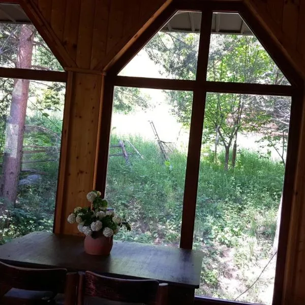 Pandora, hotel in Mavrovo