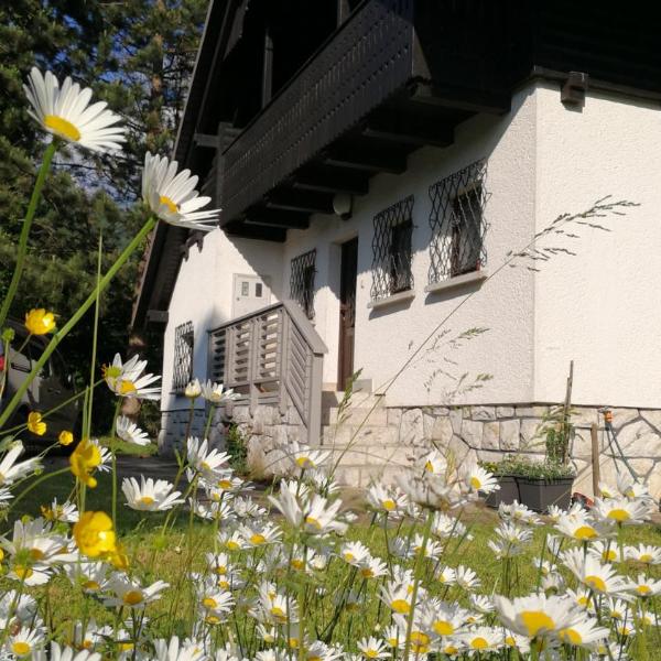 River house HRIB