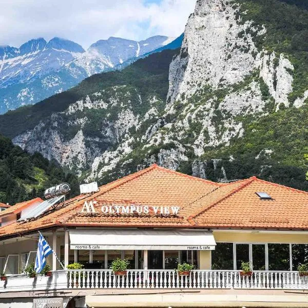 Olympus View Rooms Sauna & Spa, hotel en Litochoro