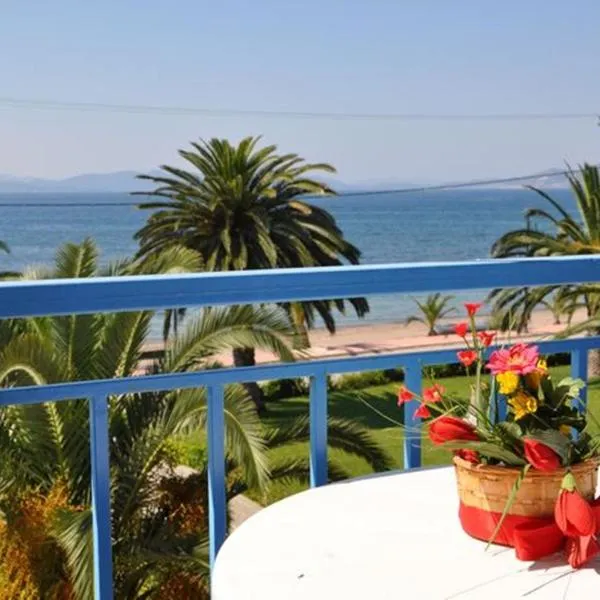 Elena Hotel, hotel en Arkitsa