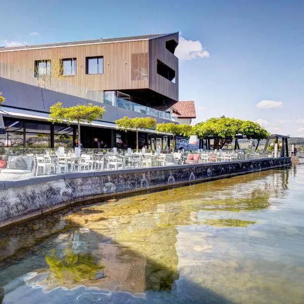 Hotel-Restaurant-Schifflände, hotel in Birrwil