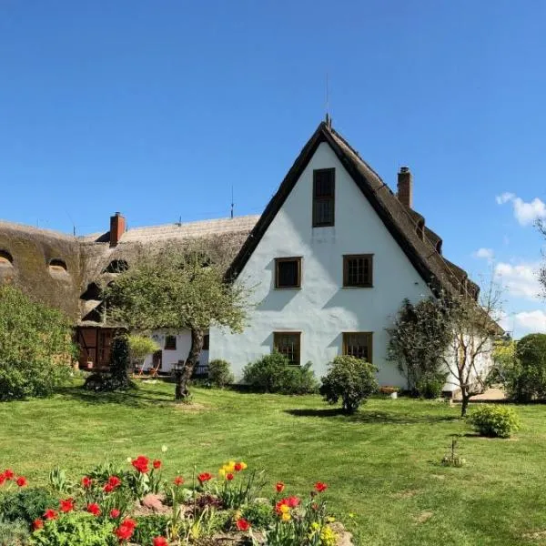 Die Insel auf Rügen, hotel in Rambin