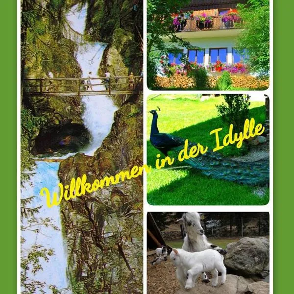 Apartment zum Wasserfall, hotel in Krakaudorf