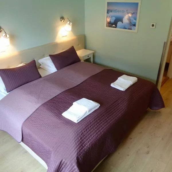 哈利乡村酒店，位于Jökulsárlón的酒店