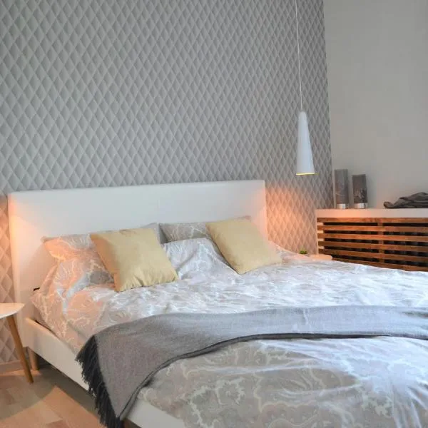 Vee 4 City Center Apartment，位于派尔努的酒店